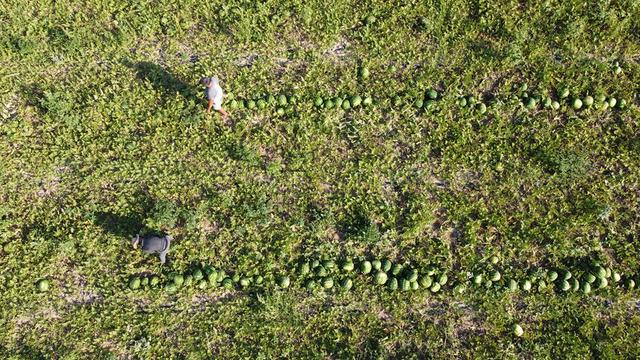 Fiyatı 1 TL'ye kadar düşmüştü! O hamleyle değeri arttı... 25 kat daha fazla kazanç