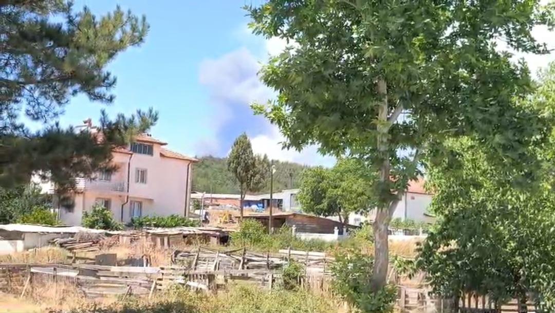 Alevler durmak bilmiyor! Kontrol altına alınmıştı alevler yine canlandı... Yardım çağrısı yapıldı, yol trafiğe kapatıldı 6