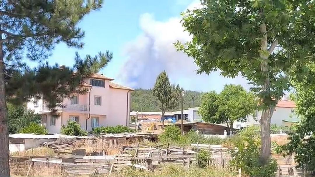 Alevler durmak bilmiyor! Kontrol altına alınmıştı alevler yine canlandı... Yardım çağrısı yapıldı, yol trafiğe kapatıldı 5