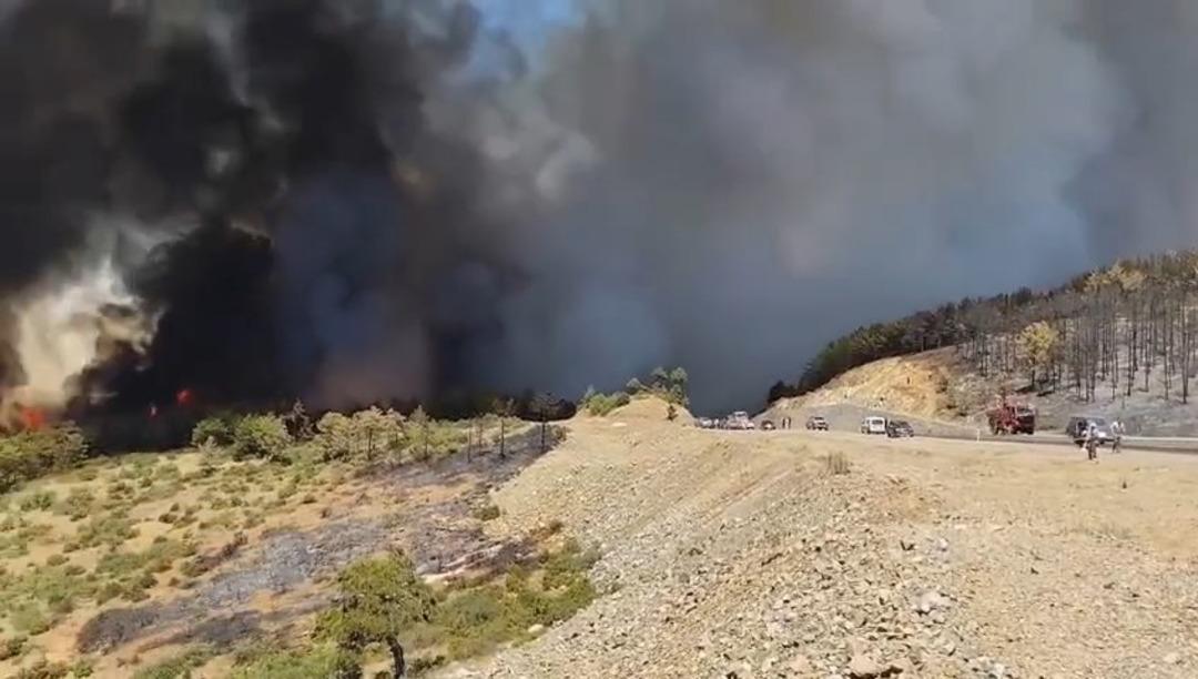 Alevler durmak bilmiyor! Kontrol altına alınmıştı alevler yine canlandı... Yardım çağrısı yapıldı, yol trafiğe kapatıldı 2