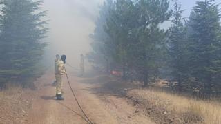 Malatya’da ormanlık alanda yangın