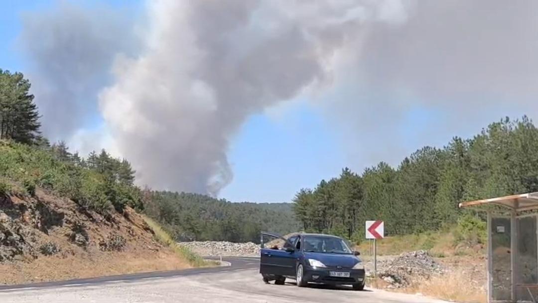 Alevler durmak bilmiyor! Kontrol altına alınmıştı alevler yine canlandı... Yardım çağrısı yapıldı, yol trafiğe kapatıldı 10