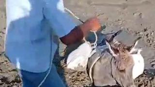 Kars’ta çamura saplanan eşek kurtarıldı