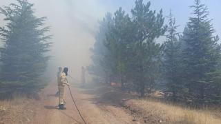 Malatya'nın Doğanşehir ilçesinde çıkan orman yangını söndürüldü