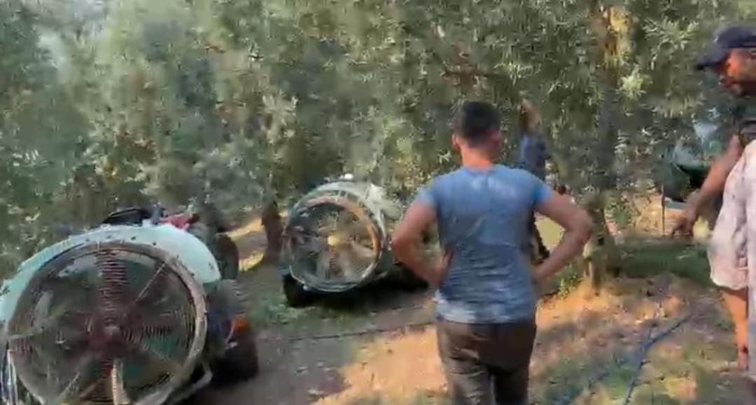 Bursa da orman yangınları devam ediyor: İznik’te çıkan yangın kontrol altına alındı 1