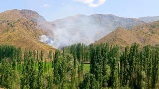 Erzurum'da çıkan örtü yangını söndürüldü