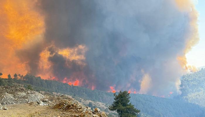 Bakan Yerlikaya duyurdu! Orman yangınlarıyla ilgili 3 kişi tutuklandı