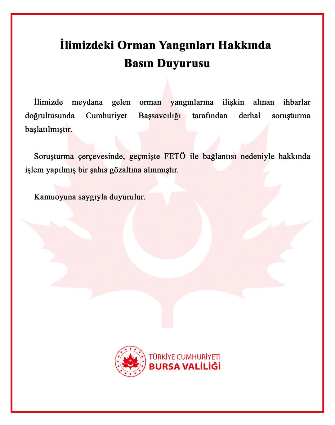 Bursa daki orman yangınında benzin bidonuyla yakalanmıştı! İfadesi ortaya çıktı:  Benzin alıp ağaçları tutuşturdum  3