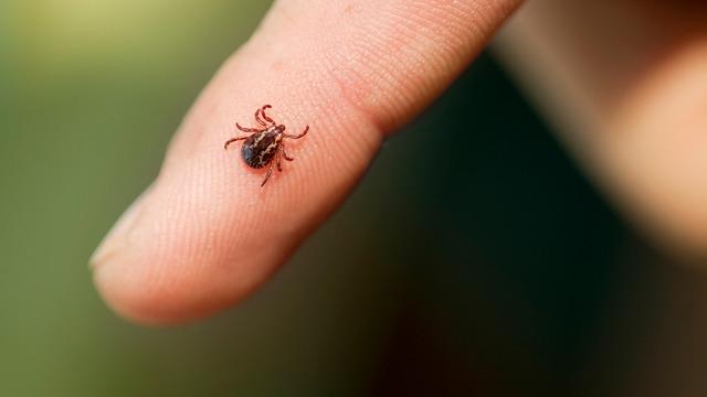 Kene kabusu büyüyor: Sivas’ta ölenlerin sayısı 12’ye yükseldi!