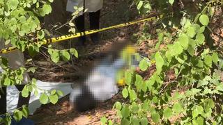 Sarıyer'de korkunç olay! Ormanlık alanda başına çöp poşeti geçirilip bantlanmış erkek cesedi bulundu