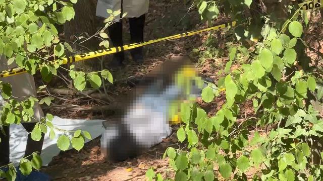 Sarıyer'de korkunç olay! Ormanlık alanda başına çöp poşeti geçirilip bantlanmış erkek cesedi bulundu