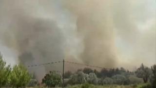 Son dakika|İzmir Bornova'da orman yangını! Buca'ya da sıçradı, Urla'da da başladı