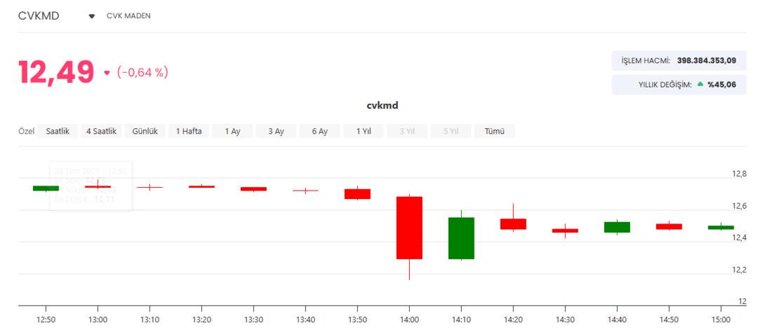 Bursa’da çıkan orman yangınlarından maden devi de etkilendi 1