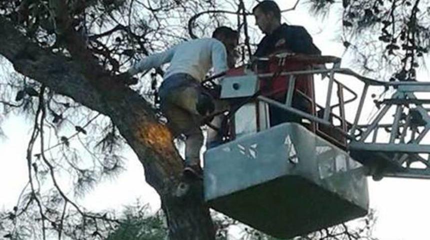 Futbolcu ağa&ccedil;ta mahsur kaldı!