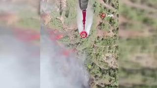 Orman Genel Müdürlüğü'nden İzmir açıklaması! 