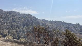 Kahramanmaraş’ta bin 500 hektar alanı etkileyen orman yangını kontrol altına alındı