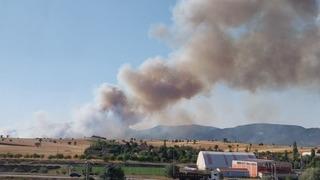 Kütahya'da orman yangını