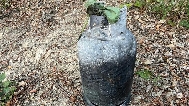 Sakarya Hendek’teki orman yangınının sebebi belli oldu