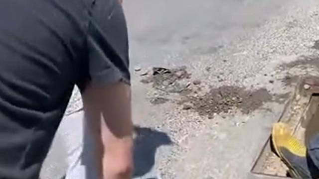 Yalova’da anne kedi ve dört yavrusu sıkıştıkları yağmur suyu kanalından kurtarıldı