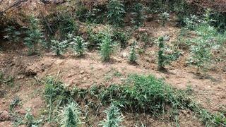 Bingöl’de uyuşturucuyla mücadele