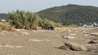 Antalya’da caretta caretta yuvaları zarar gördü