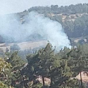 Denizli’de sabaha karşı başlayan orman yangını hızlı müdahaleyle söndürüldü