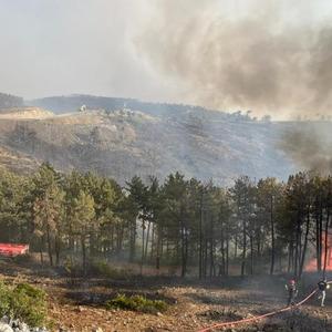 Kocaeli'den Bursa'daki orman yangınına söndürme desteği