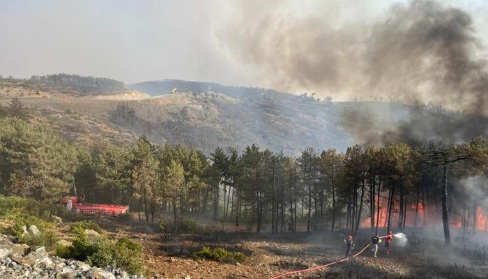20732105-700x400 Kocaeli'den Bursa'daki orman yangınına söndürme desteği
