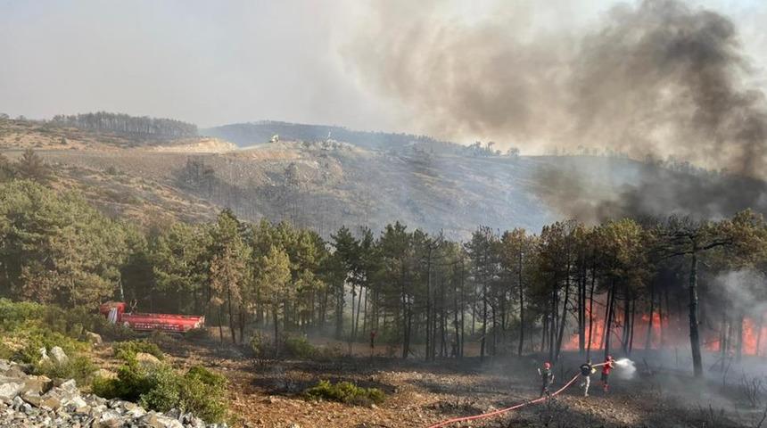 Kocaeli'den Bursa'daki orman yangınına söndürme desteği