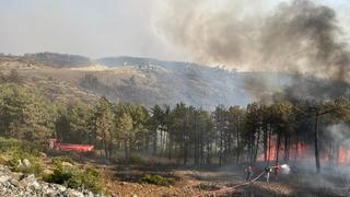 Kocaeli'den Bursa'daki orman yangınına söndürme desteği