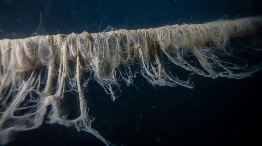 Serinletmesi gerekirken yakıyor... Akdeniz kıyılarımızda yüzen mikroplar: Denize giren kaçarak geri çıkıyor!