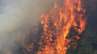 Havai fişek atarak kundaklama yapmışlardı! Başsavcılık duyurdu: Yangın çıkaran 4 kişi yakalandı