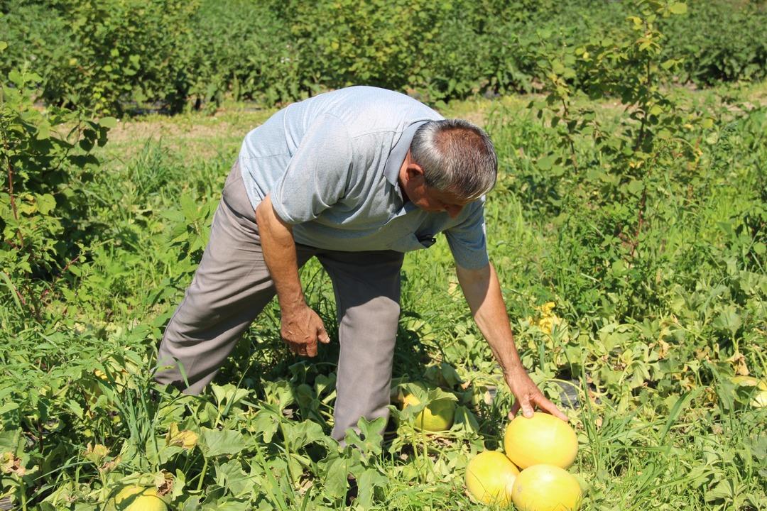 Dışını gören almıyor ama  Tadını bilen bırakmaz  40 liradan satılıyor  4