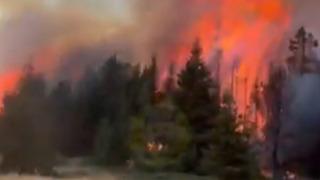 Bir kötü haber de Çankırı'dan! Orman yangını çıktı... Ekipler bölgeye sevk edildi