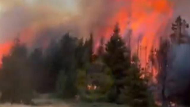 Bir kötü haber de Çankırı'dan! Orman yangını çıktı... Ekipler bölgeye sevk edildi