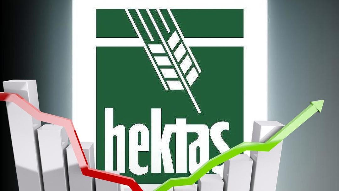 HEKTS direnci zorluyor: Kurumsal alımlar yükselişi destekliyor mu? 3