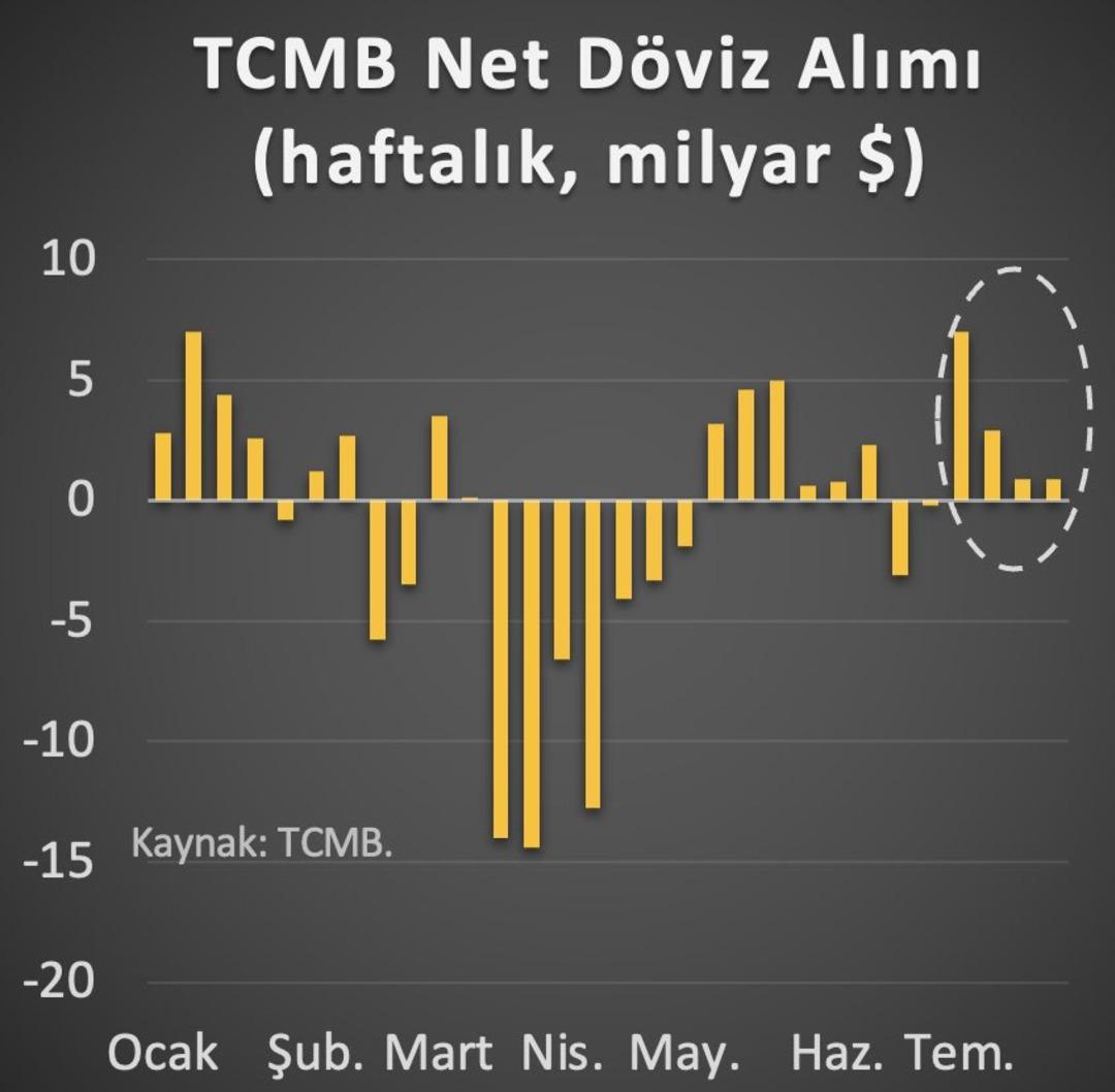 Hakan Kara: Merkez Bankası son 4 haftadır kesintisiz döviz alıyor 1