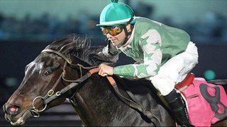 Jokeyden acımasız davranış