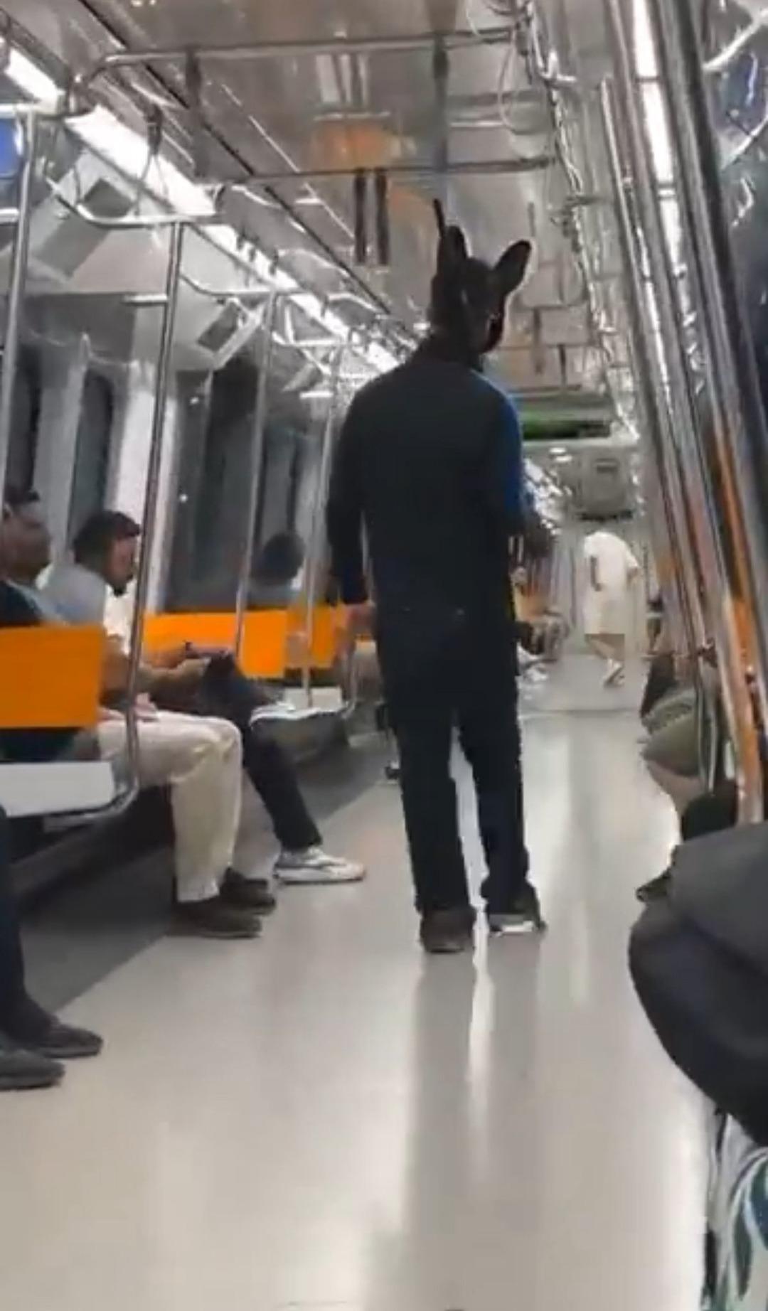 1200xauto İstanbul'da yürekleri ağıza getiren olay! Elinde tüfek üzerinde tavşan kostümü...