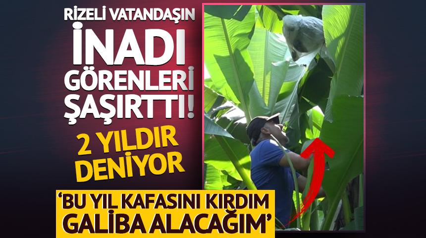Rizeli vatandaşın inadı görenleri şaşırttı! 2 yıldır deniyor...