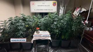 Sakarya'da uyuşturucu operasyonu: 3 gözaltı