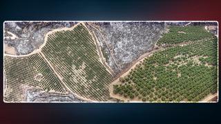 Bursa'da orman yangınının ortasında kaldı ve zarar görmedi! Sebebini bahçe sahibi açıkladı