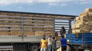 Çankırı'dan Karabük'teki yangından etkilenen çiftçilere yem desteği