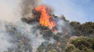 Aydın'daki orman yangını kontrol altına alındı