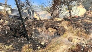 Ankara'da ağaçlık alanda çıkan yangın gecekondulara sıçradı