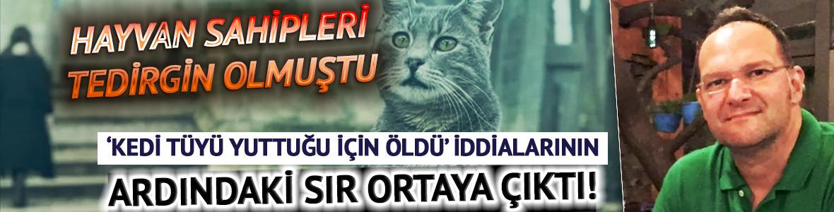 Birçok hayvan sahibi tedirgin olmuştu! 'Kedi tüyü yuttuğu için öldü' iddialarının ardındanki sır ortaya çıktı