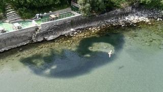 Sinop’ta deniz suyu aniden soğudu! Balıklar kıyıya vurdu