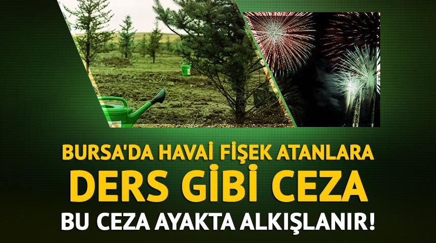 Bursa'da havai fişek atanlara 50'şer ağaç dikme cezası