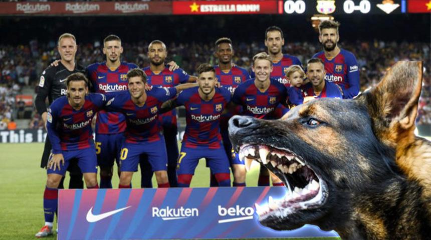 İspanyol futbolcu Carles Perez korkutan bir kaza geçirdi! Yıldız ismin cinsel organını köpek ısırdı... Konferans Ligi'nde forma giyemeyecek