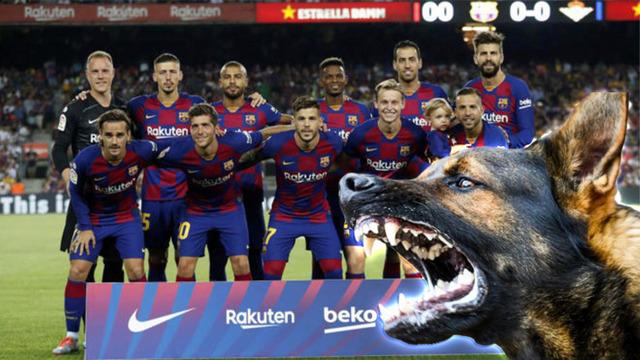 İspanyol futbolcu Carles Perez korkutan bir kaza geçirdi! Yıldız ismin cinsel organını köpek ısırdı... Konferans Ligi'nde forma giyemeyecek